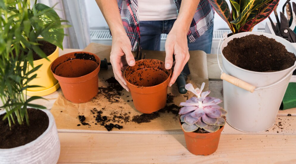 choosing the best pots for container gardening